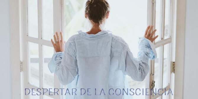 despertar